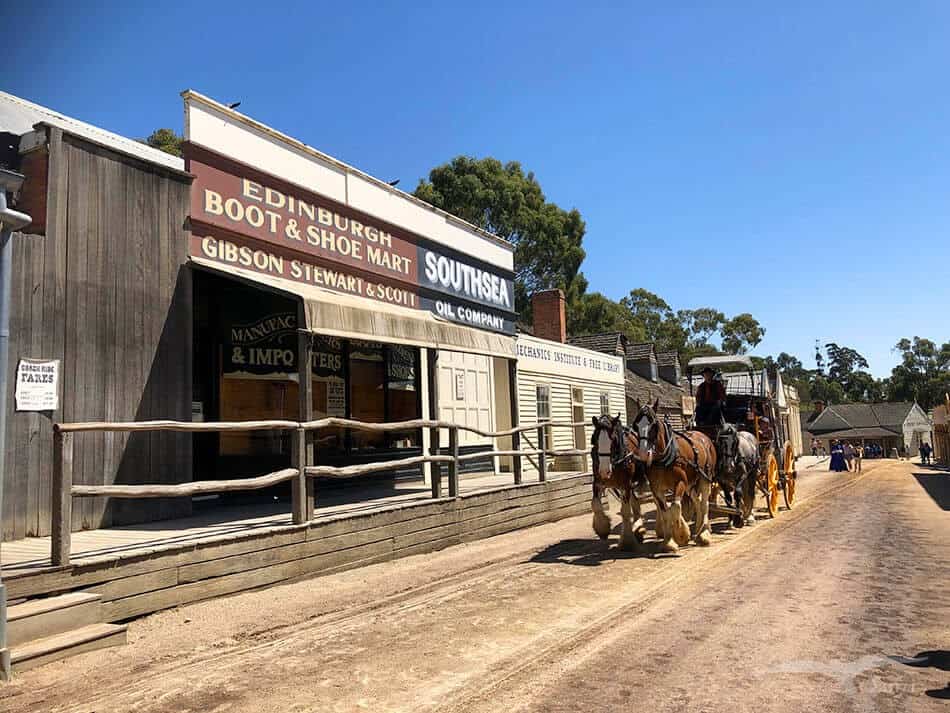 【墨爾本跟團一日遊】疏芬山掏金小鎮Sovereign Hill+羊駝農場 - 第83張圖