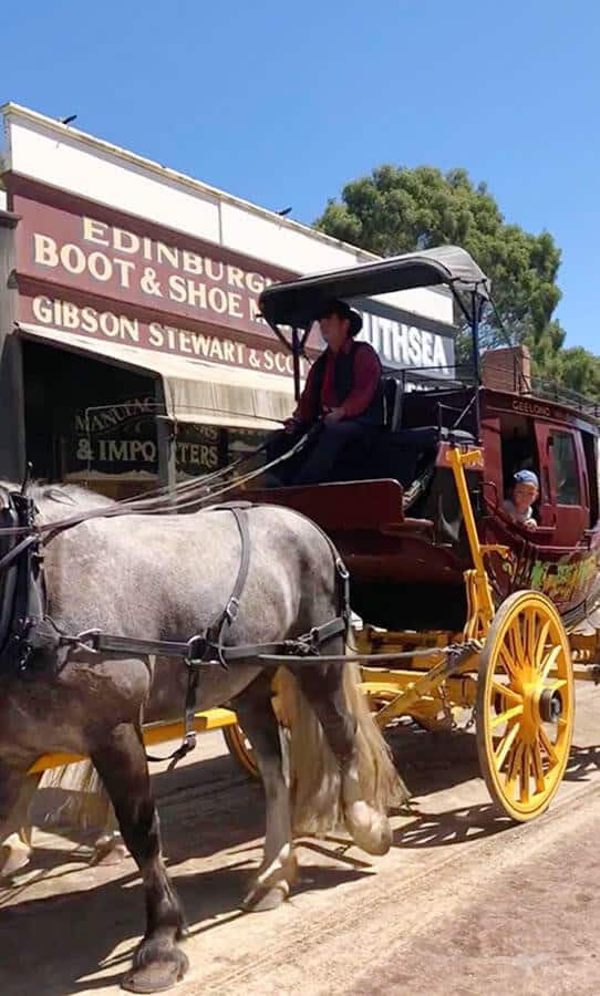 【墨爾本跟團一日遊】疏芬山掏金小鎮Sovereign Hill+羊駝農場 - 第85張圖 疏芬山掏金小鎮 Sovereign Hill 馬車之旅 Horse Bazaar