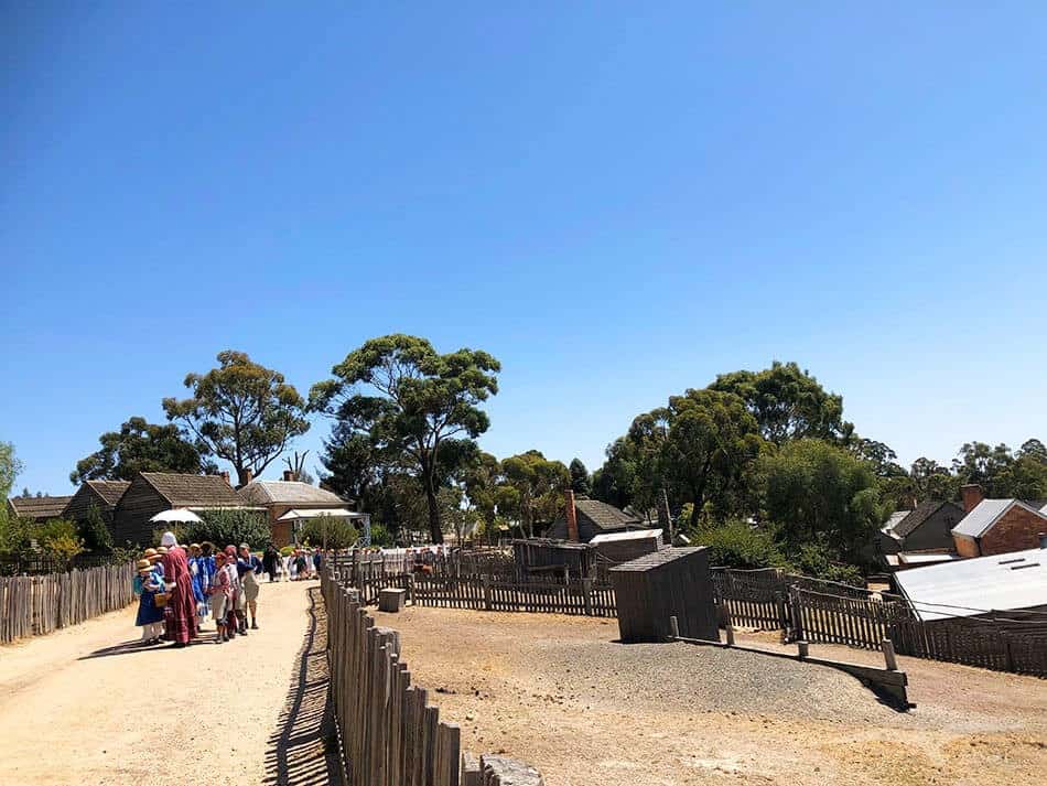 【墨爾本跟團一日遊】疏芬山掏金小鎮Sovereign Hill+羊駝農場 - 第44張圖