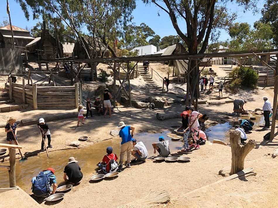 【墨爾本跟團一日遊】疏芬山掏金小鎮Sovereign Hill+羊駝農場 - 第101張圖