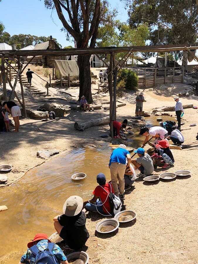 【墨爾本跟團一日遊】疏芬山掏金小鎮Sovereign Hill+羊駝農場 - 第103張圖 疏芬山掏金小鎮 Sovereign Hill 砂裡淘金 Gold Panning