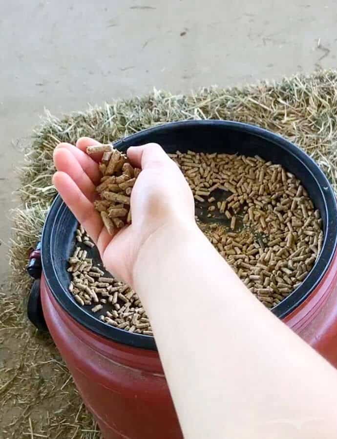 【墨爾本跟團一日遊】疏芬山掏金小鎮Sovereign Hill+羊駝農場 - 第118張圖 染色羊毛觀光工廠 Creswick Woollen Mills (羊駝農場)