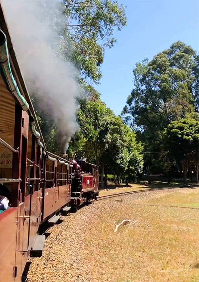 墨爾本蒸汽火車 Puffing Billy Railway