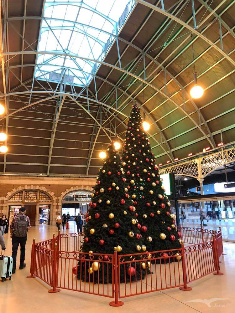 雪梨中央車站 Sydney Central station 聖誕樹