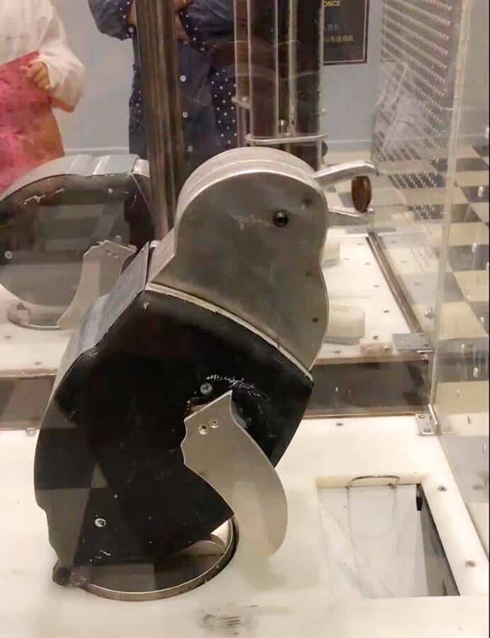 【墨爾本】動物園看袋鼠 Maru Koala and Animal Park|跟團一日遊#上 - 第45張圖 墨爾本菲利普島 巧克力觀光工廠 Phillip Island Chocolate Factory