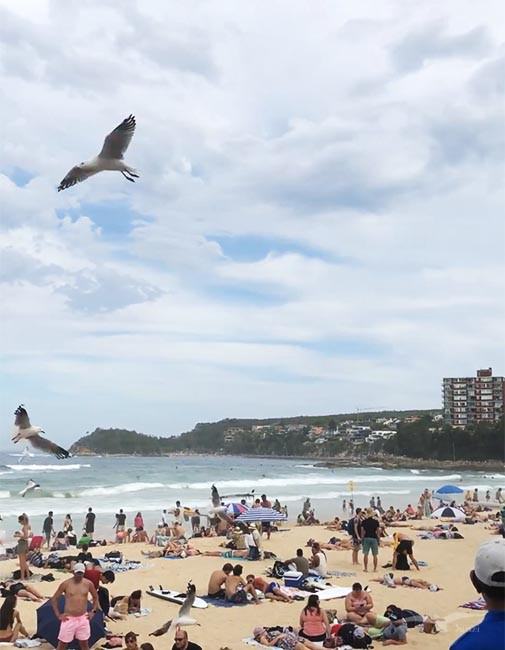 【雪梨D9-2】搭船初體驗|月亮公園Luna Park+曼利海灘 - 第55張圖 【雪梨D9-2】搭船初體驗|月亮公園Luna Park+曼利海灘