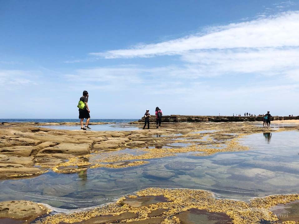 【雪梨D13】八字湖 Figure Eight Pools|翻山越嶺才能到 - 第41張圖