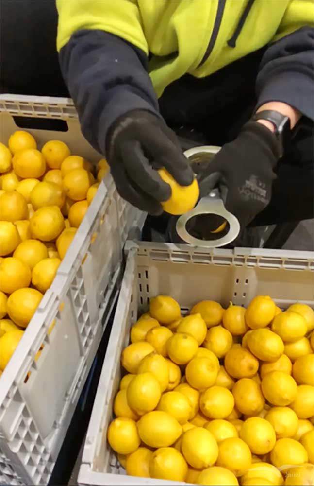 【米爾杜拉】工作分享｜Sim Fresh橙廠包裝—集二簽農場生活