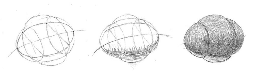 素描 麵包 畫畫步驟3