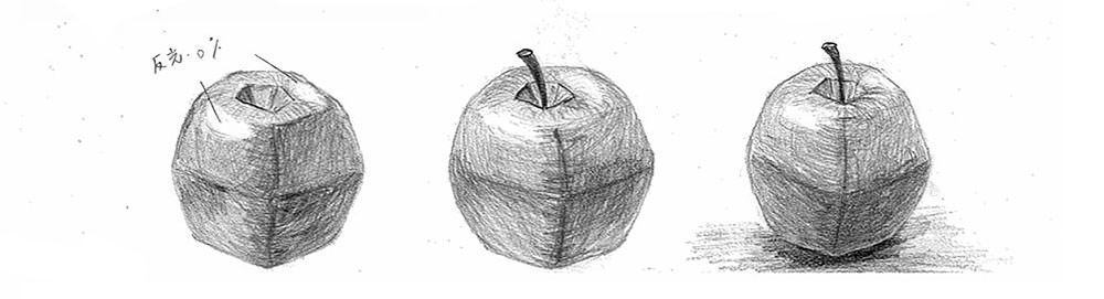 【素描明暗】畫瓶子+咖啡杯+雞蛋+蘋果｜自學畫畫#8