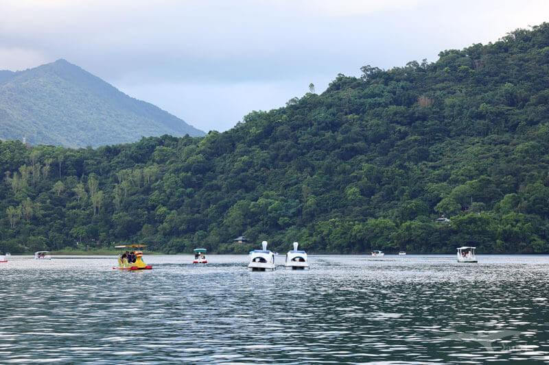 【花蓮鯉魚潭】2023花蓮紅面鴨Fun暑假｜水舞煙火秀+踩天鵝船