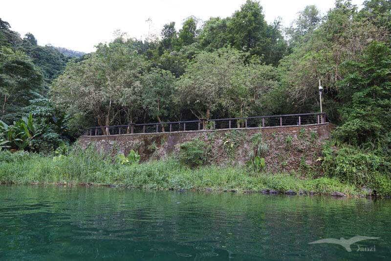 【花蓮鯉魚潭】2023花蓮紅面鴨Fun暑假｜水舞煙火秀+踩天鵝船