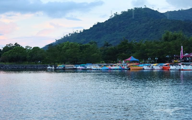 【花蓮鯉魚潭】2023花蓮紅面鴨Fun暑假｜水舞煙火秀+踩天鵝船