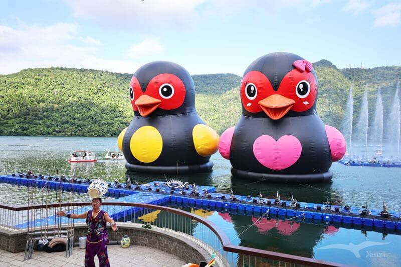 【花蓮鯉魚潭】2023花蓮紅面鴨Fun暑假｜水舞煙火秀+踩天鵝船