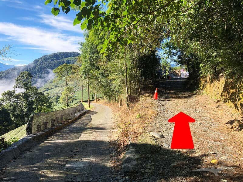 武界露營推薦——武界雲頂露營天地｜打開帳篷就能看雲海！