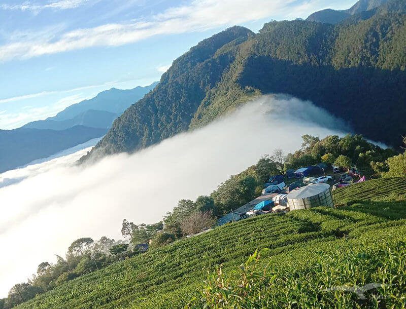 武界露營推薦——武界雲頂露營天地｜打開帳篷就能看雲海！