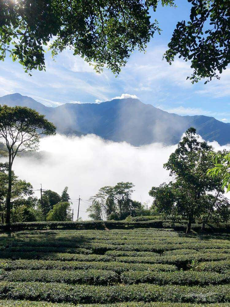武界露營推薦——武界雲頂露營天地｜打開帳篷就能看雲海！