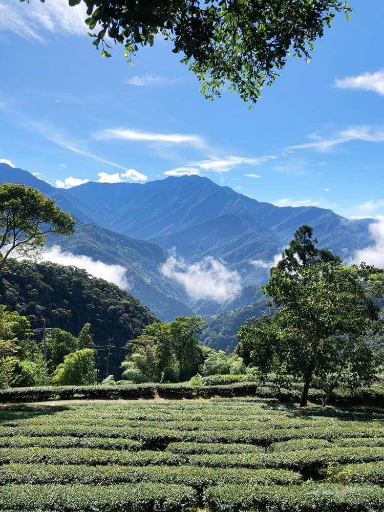 武界露營推薦——武界雲頂露營天地｜打開帳篷就能看雲海！