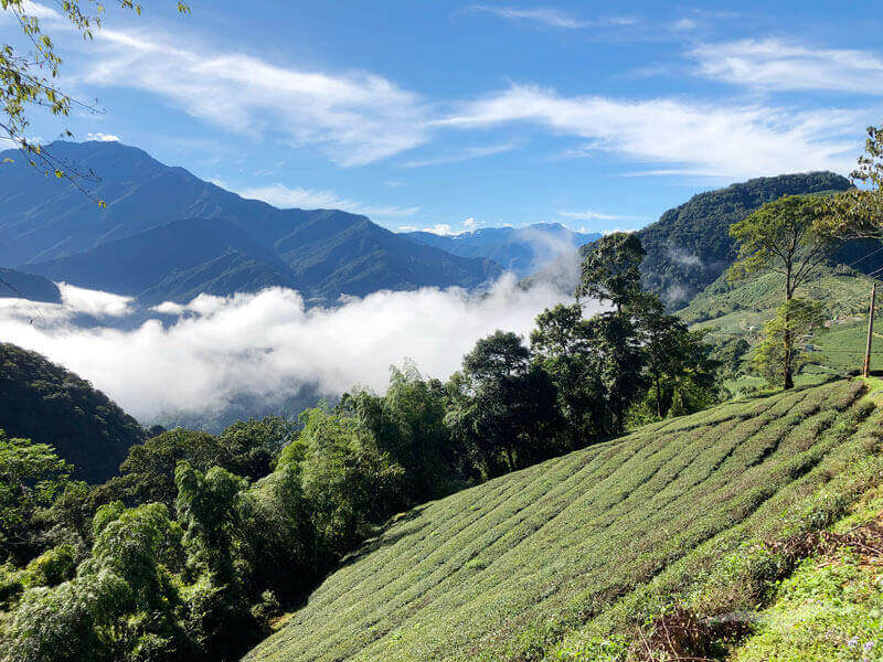武界露營推薦——武界雲頂露營天地｜打開帳篷就能看雲海！