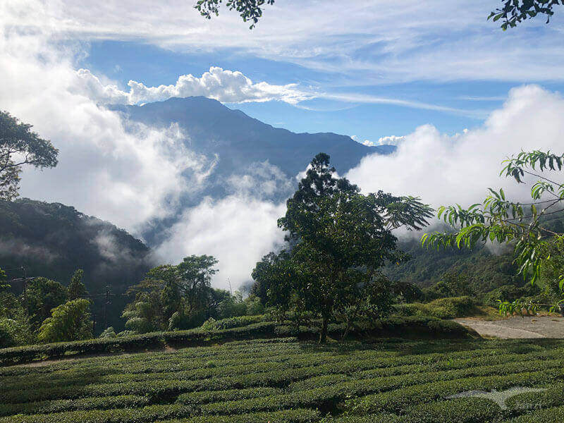 武界露營推薦——武界雲頂露營天地｜打開帳篷就能看雲海！
