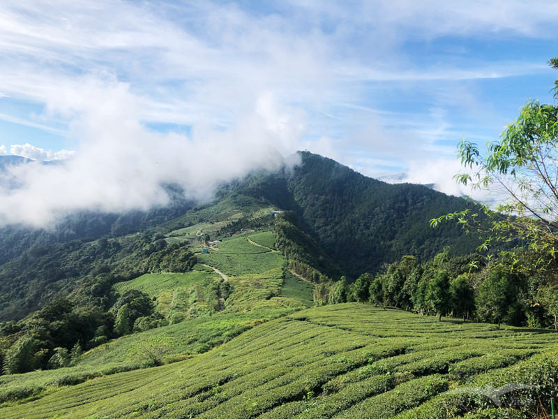 武界露營推薦——武界雲頂露營天地｜打開帳篷就能看雲海！