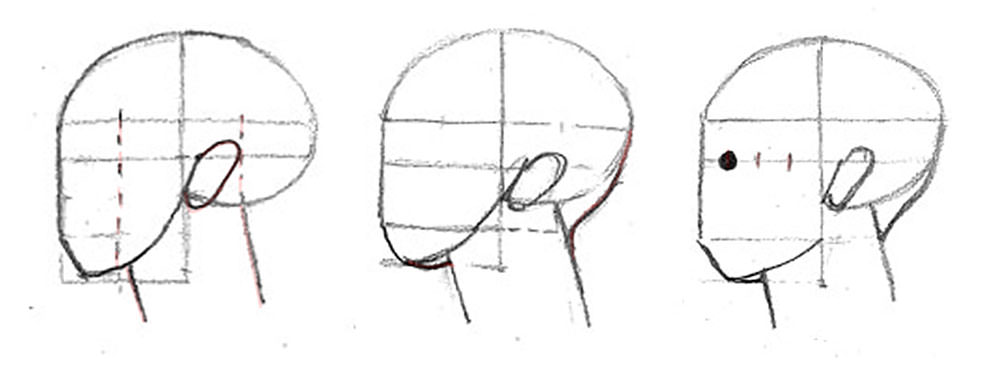 【人物素描】畫側臉|掌握臉的方向|自學畫畫#15 - 第5張圖 畫側臉3