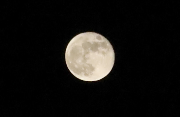 南庄住宿推薦——鳳櫻山莊｜中秋烤肉+免費卡拉OK歡唱【苗栗】