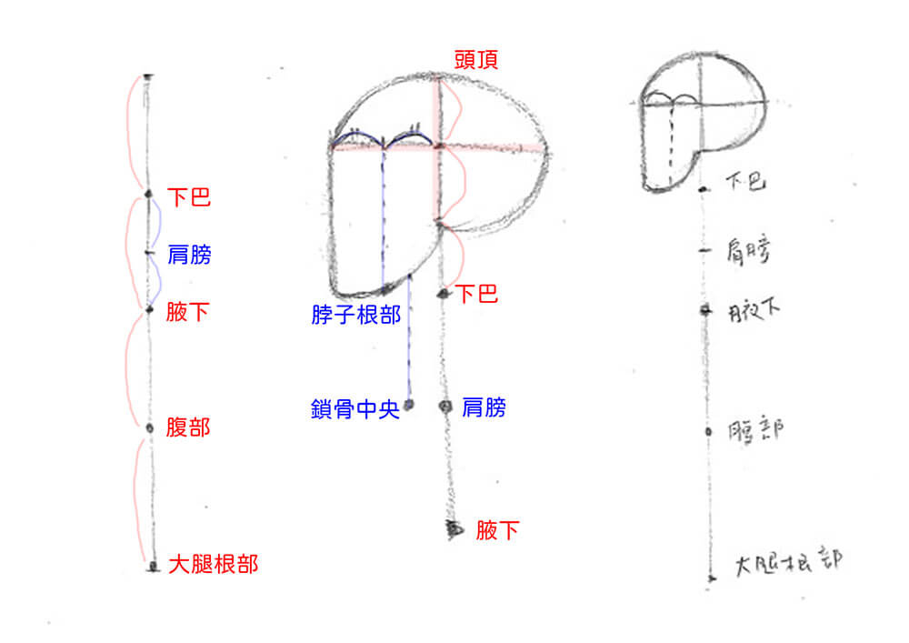 【人物素描】畫人側面身體的形狀|自學畫畫#19 - 第3張圖 【人物素描】畫人側面身體的形狀|自學畫畫#19