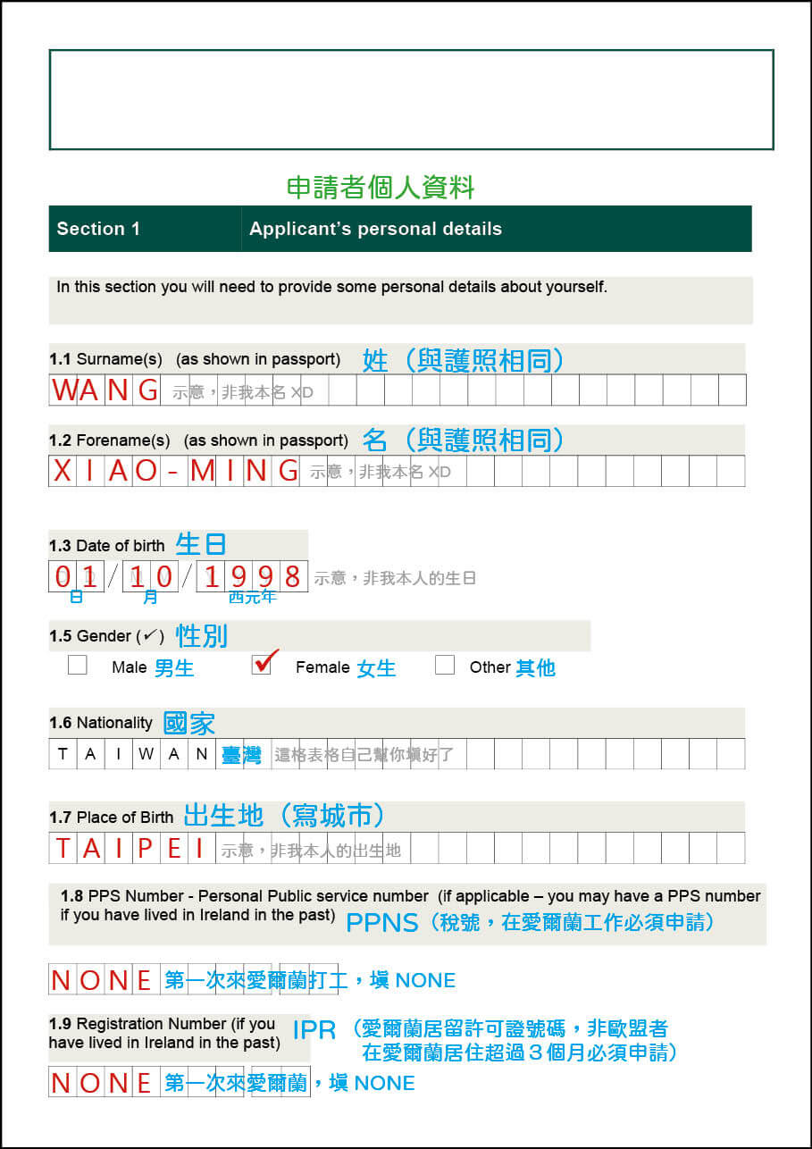 愛爾蘭打工度假｜簽證申請表填寫】英文大寫打字+手寫簽名– 雁子Yanzi