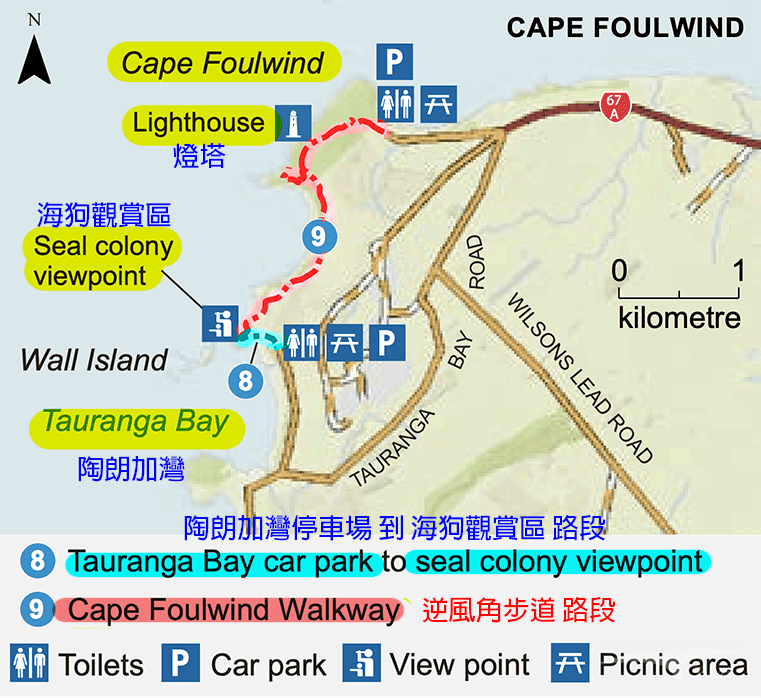 【紐西蘭D13-1】逆風角步道Cape Foulwind Walkway|野生海狗! - 第3張圖 逆風角步道路線圖 Cape Foulwind Walkway map
