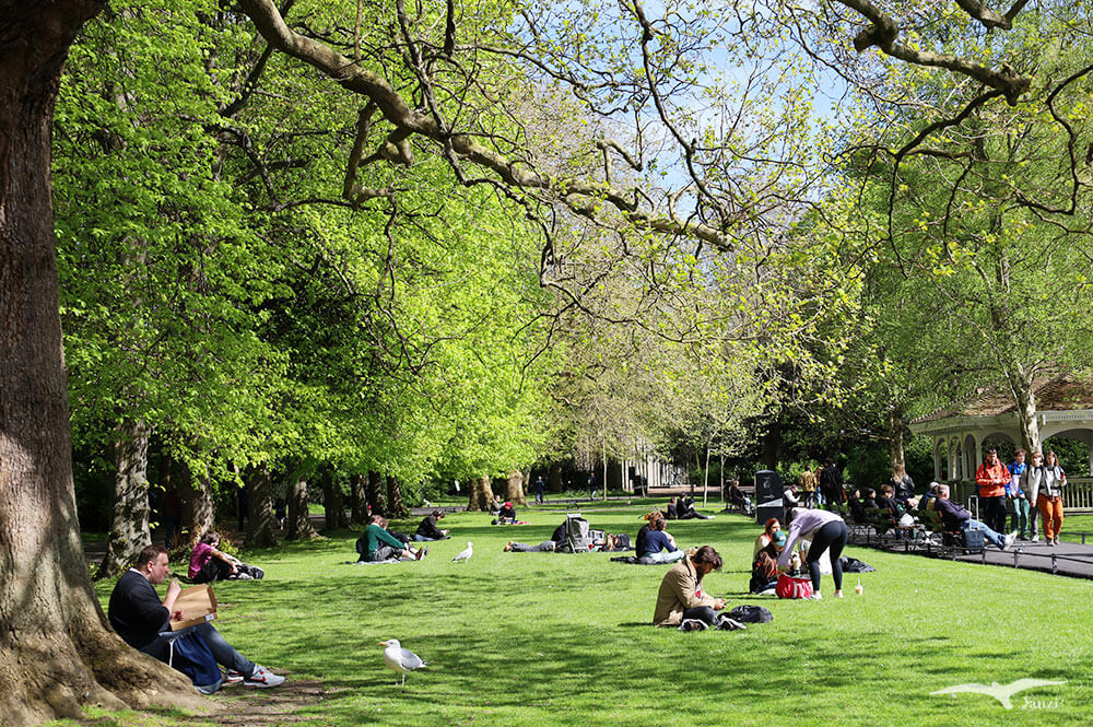 【都柏林】聖史蒂芬綠地 St Stephen’s Green|陽光草地&愛爾蘭起義歷史 - 第6張圖