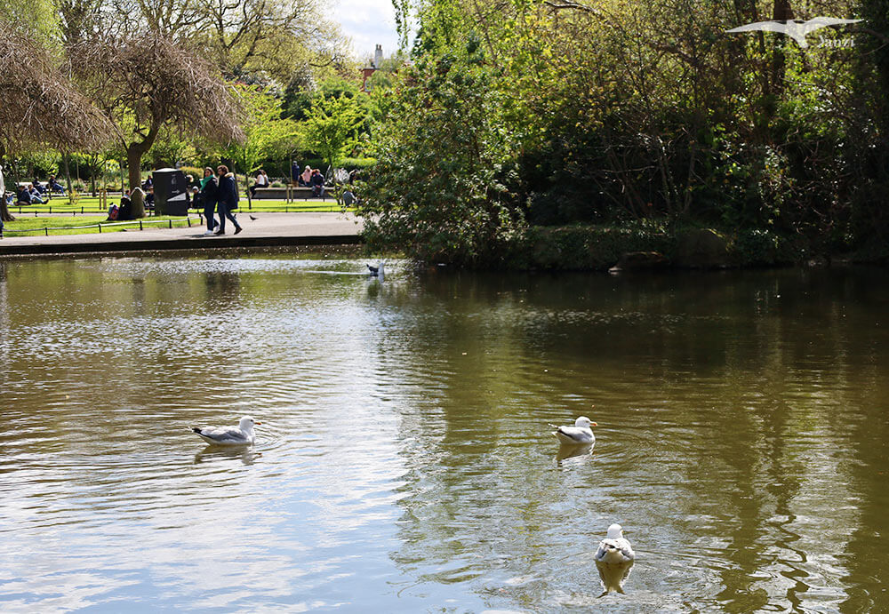 【都柏林】聖史蒂芬綠地 St Stephen’s Green|陽光草地&愛爾蘭起義歷史 - 第20張圖
