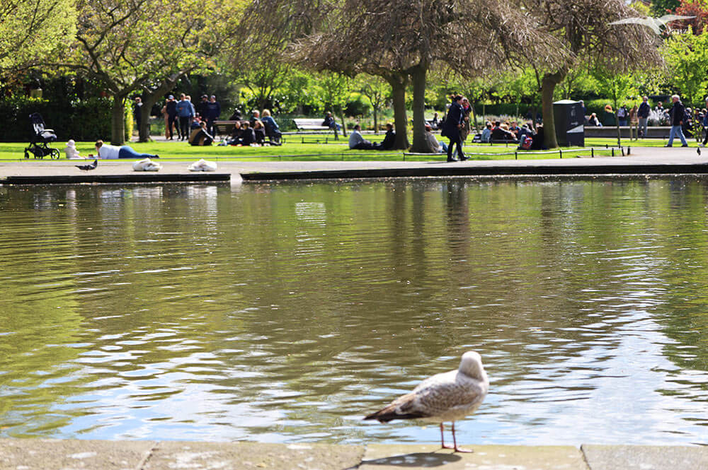 【都柏林】聖史蒂芬綠地 St Stephen’s Green|陽光草地&愛爾蘭起義歷史 - 第16張圖