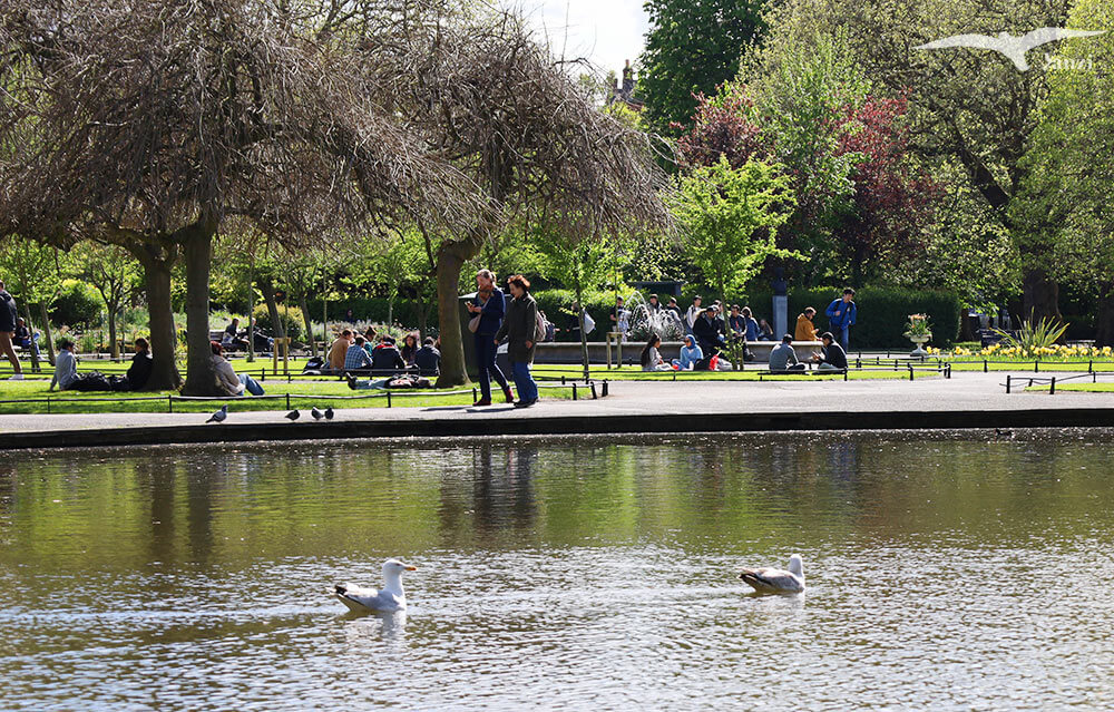 【都柏林】聖史蒂芬綠地 St Stephen’s Green|陽光草地&愛爾蘭起義歷史 - 第19張圖