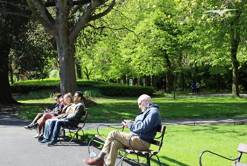 【都柏林】聖史蒂芬綠地 St Stephen’s Green|陽光草地&愛爾蘭起義歷史 - 第9張圖
