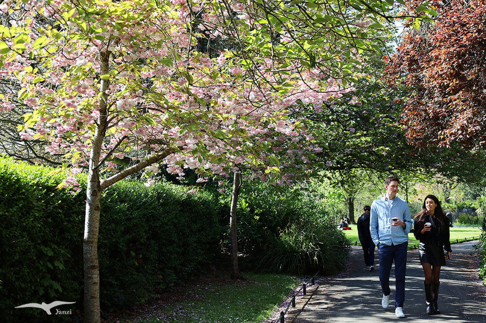 【都柏林】聖史蒂芬綠地 St Stephen’s Green|陽光草地&愛爾蘭起義歷史 - 第47張圖