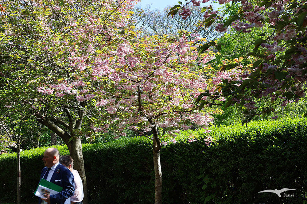 【都柏林】聖史蒂芬綠地 St Stephen’s Green|陽光草地&愛爾蘭起義歷史 - 第48張圖