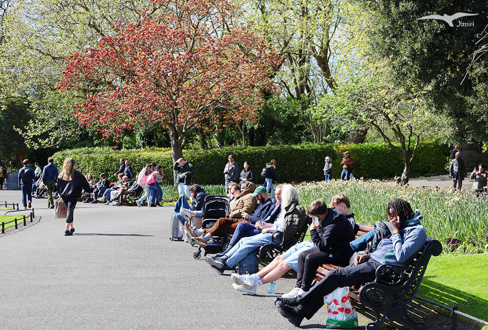 【都柏林】聖史蒂芬綠地 St Stephen’s Green|陽光草地&愛爾蘭起義歷史 - 第11張圖