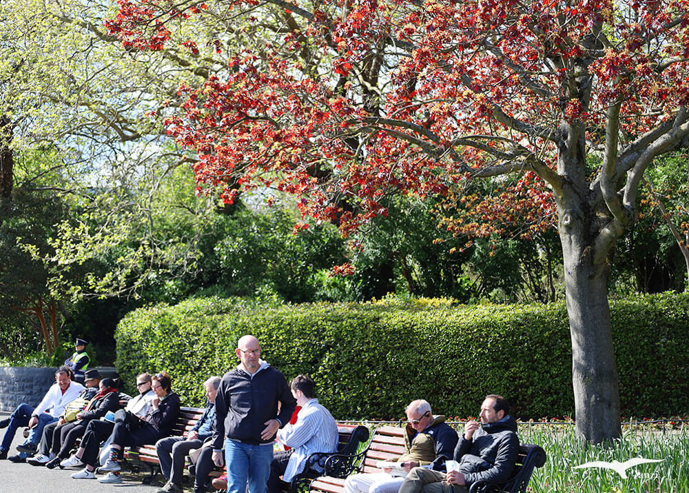 【都柏林】聖史蒂芬綠地 St Stephen’s Green|陽光草地&愛爾蘭起義歷史 - 第12張圖