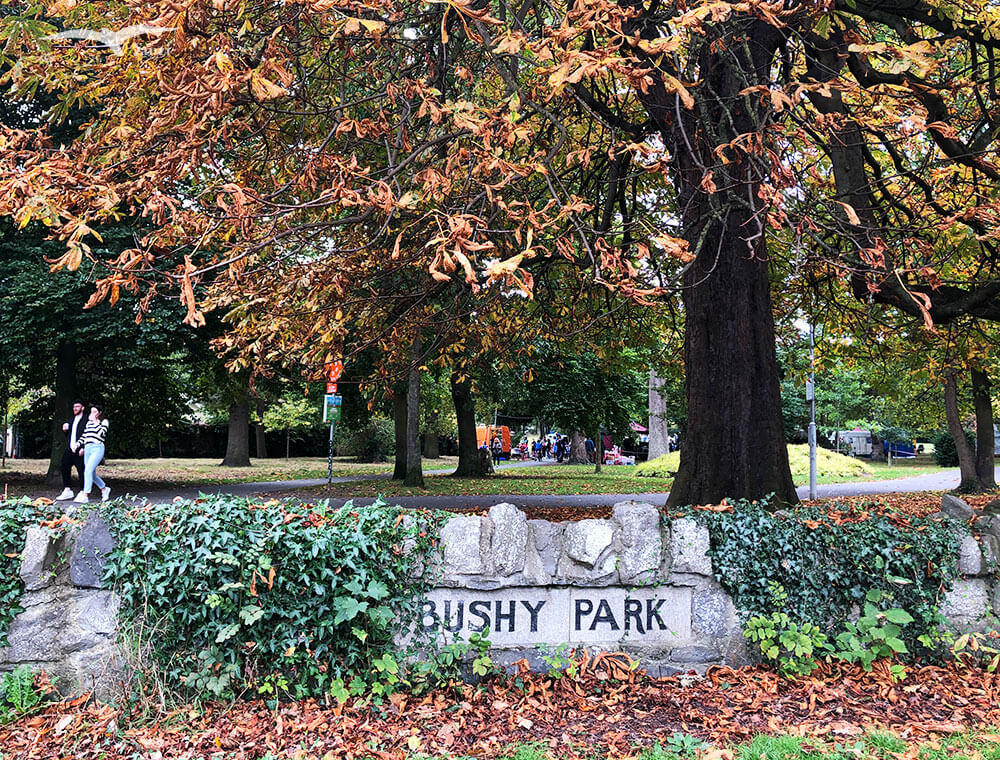 【都柏林市集】Bushy Park Market|週六假日市集!超大公園內 - 第1張圖