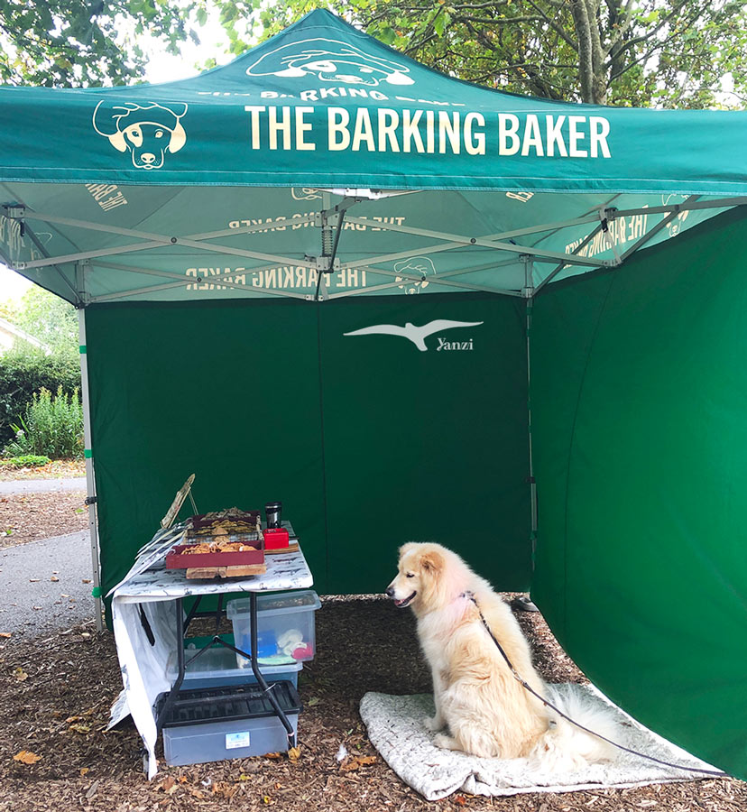 【都柏林市集】Bushy Park Market|週六假日市集!超大公園內 - 第9張圖