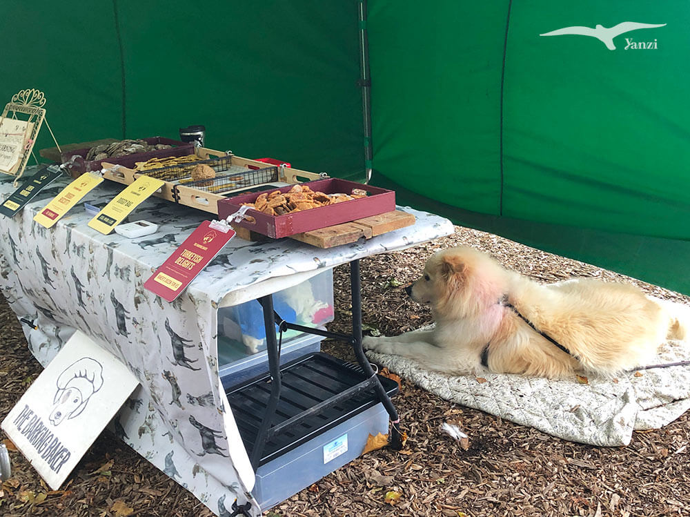 【都柏林市集】Bushy Park Market|週六假日市集!超大公園內 - 第10張圖