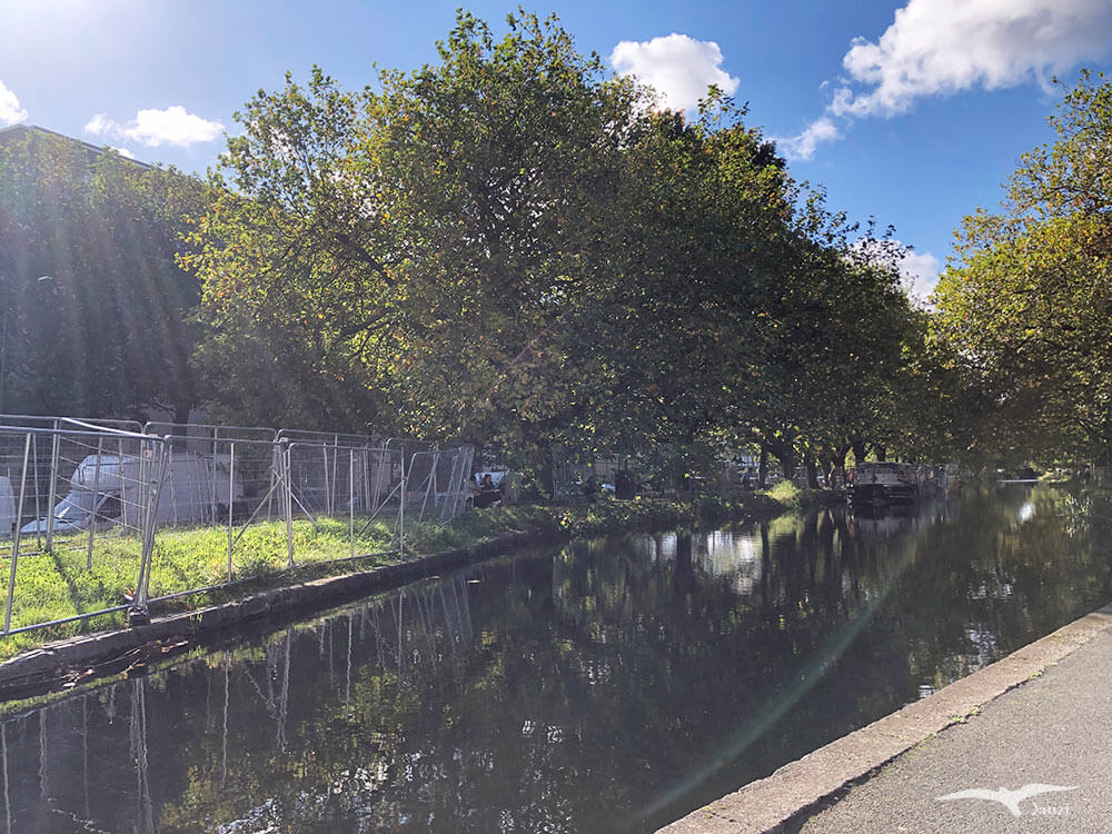 【都柏林市集】Mespil Road Lunchtime Market｜河岸邊的平日午餐市集！