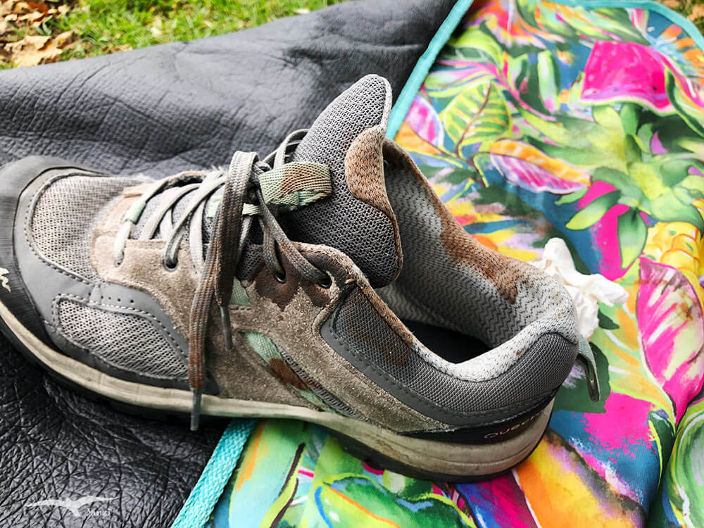 【都柏林市集】Bushy Park Market|週六假日市集!超大公園內 - 第36張圖