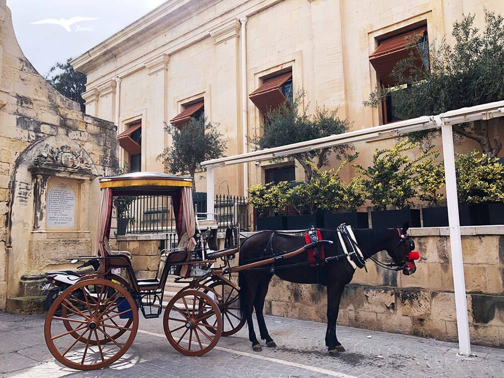 【瓦萊塔一日遊】8大景點＋步行路線｜漫步馬爾他的金色古城！