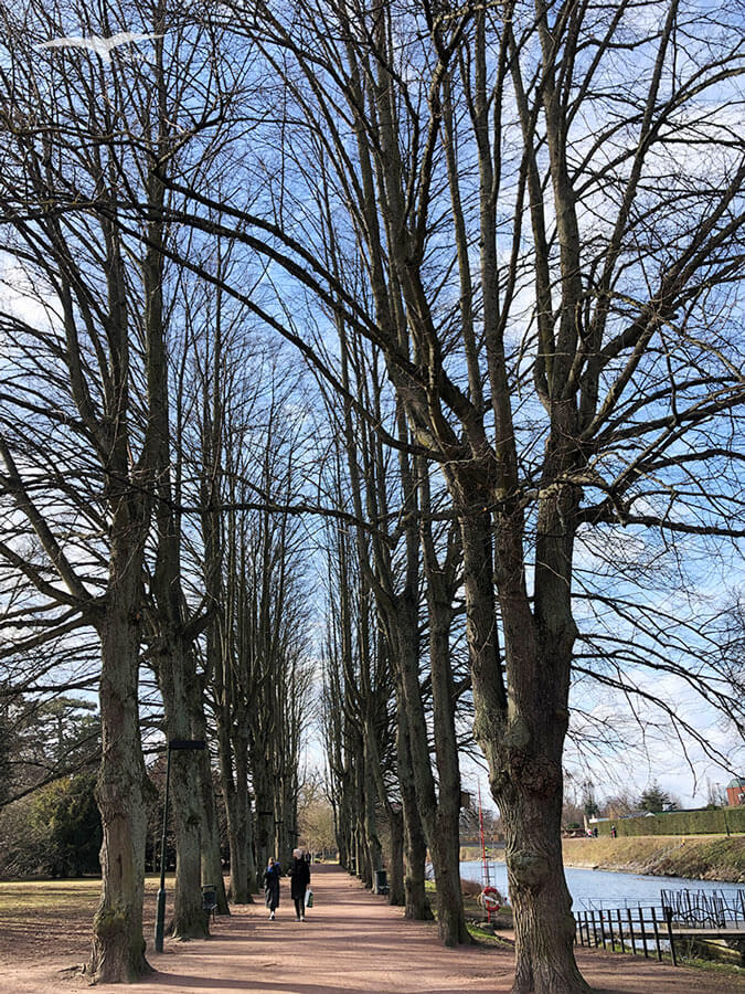 【瑞典馬爾默一日遊】景點地圖+慢遊路線|圖書館/教堂/公園/城堡/咖啡廳 - 第30張圖 【瑞典馬爾默一日遊】景點地圖+慢遊路線|圖書館/教堂/公園/城堡/咖啡廳