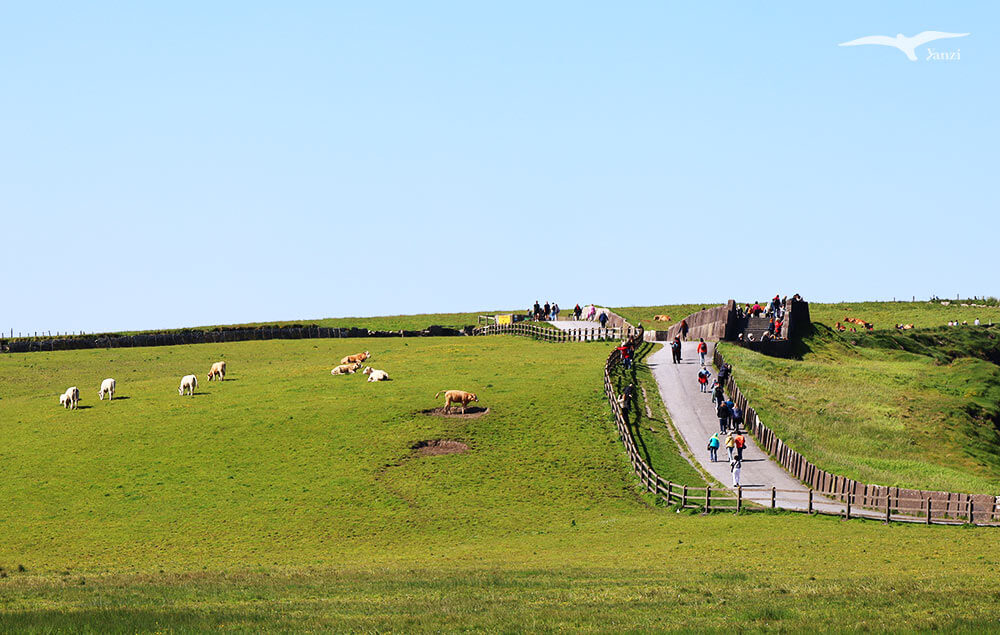【莫赫懸崖一日遊 Cliffs of Moher】都柏林出發！壯麗海岸線｜愛爾蘭必訪