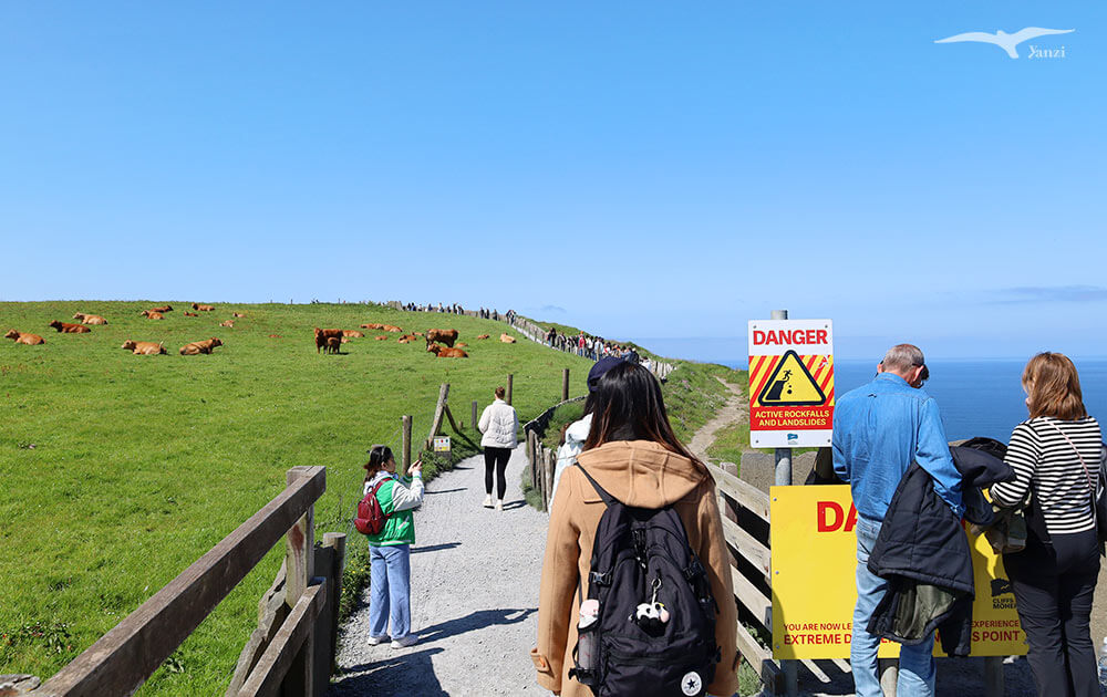 【莫赫懸崖一日遊 Cliffs of Moher】都柏林出發！壯麗海岸線｜愛爾蘭必訪