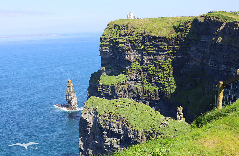 【莫赫懸崖一日遊 Cliffs of Moher】都柏林出發！壯麗海岸線｜愛爾蘭必訪