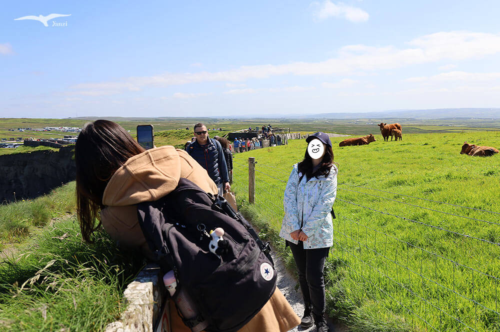 【莫赫懸崖一日遊 Cliffs of Moher】都柏林出發！壯麗海岸線｜愛爾蘭必訪